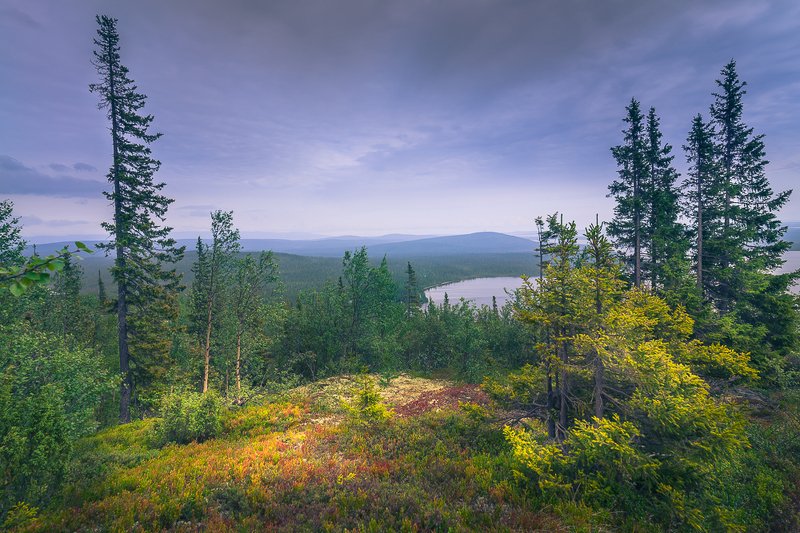 фото превью