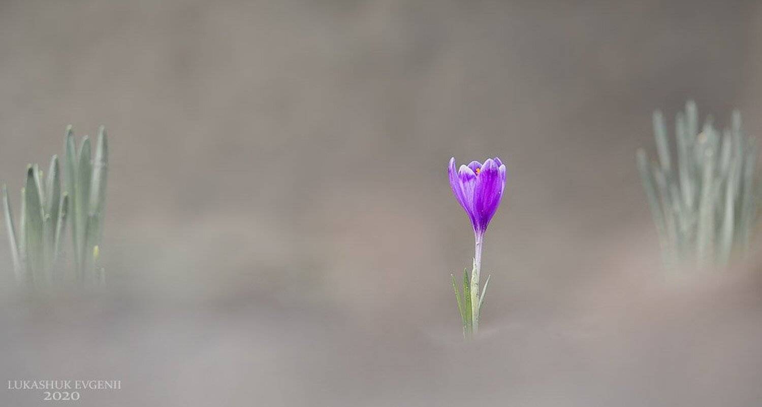 , Евгений Лукашук