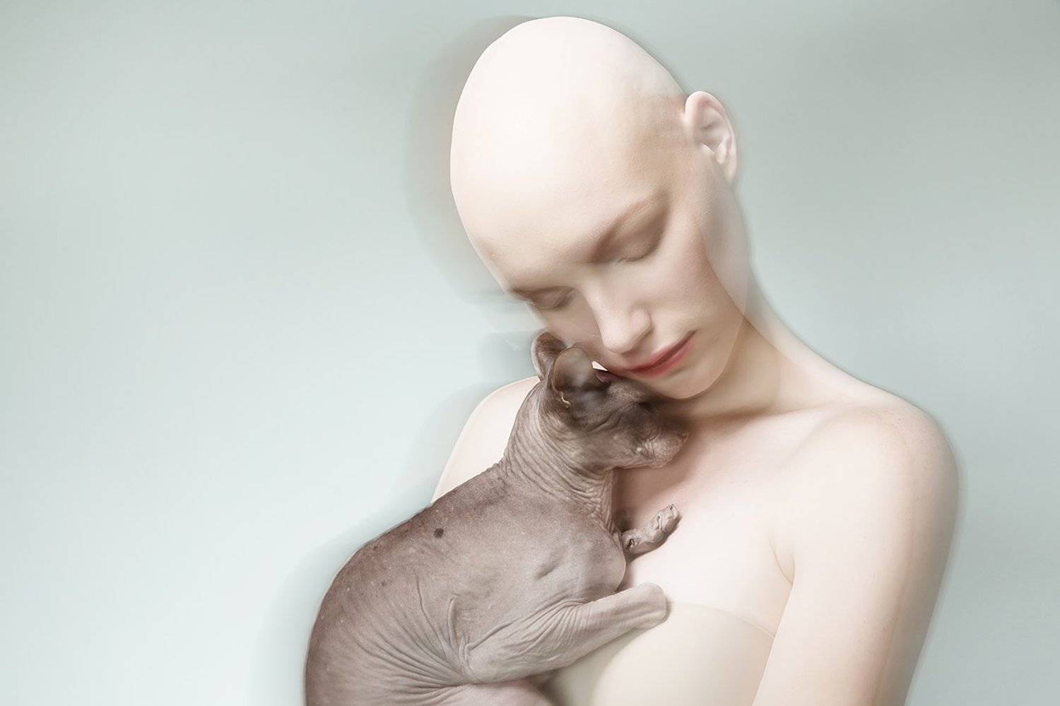 девушка, сфинкс, кошка, концепт, без волос, лысый, мода, модель, Дарья Комарова