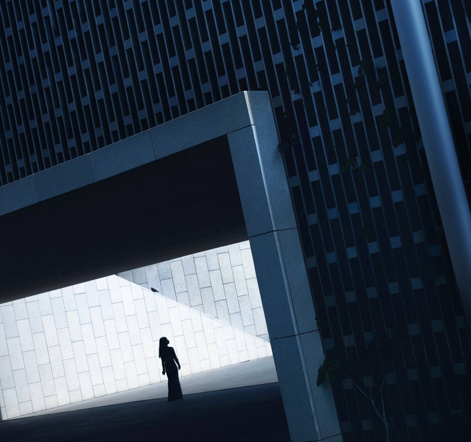 силуэт,девушка,улица,геометрия, Мария Буданова