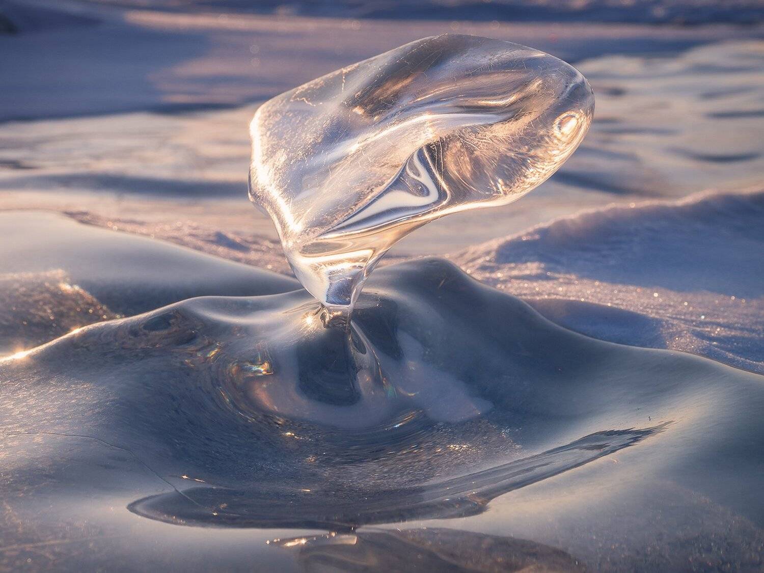 , Лещёнок Александр