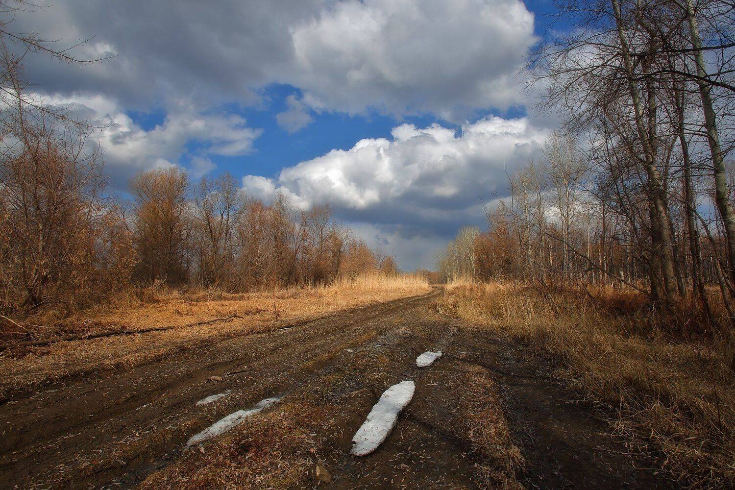 весна поля луга облака, Евгений Зинов