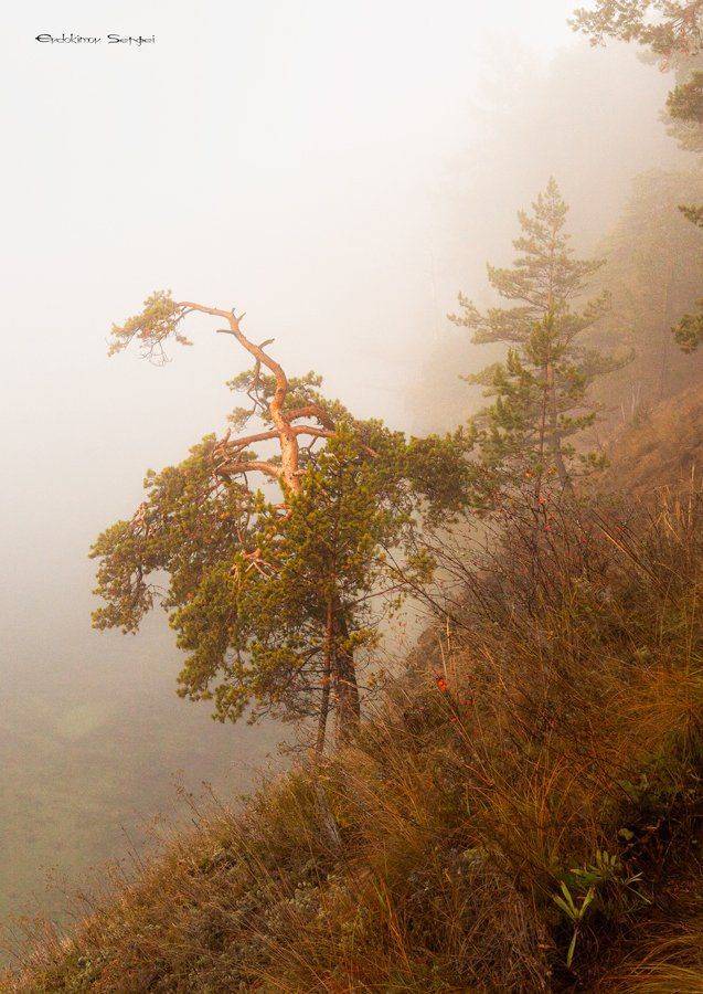 осень, урал, Сергей Евдокимов
