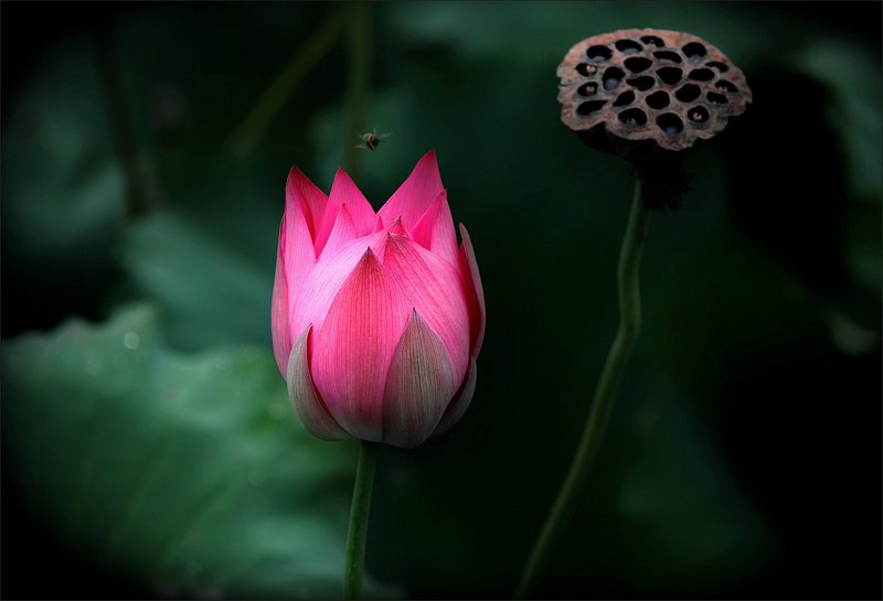 Сентябрь фото превью