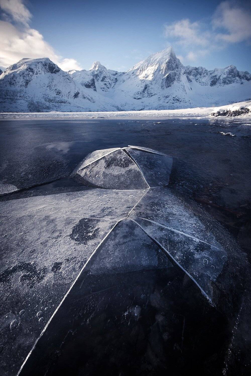 , Елена Ермолина