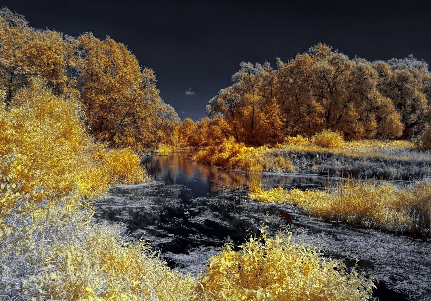 infrared,ик-фото,инфракрасное фото, инфракрасная фотография, пейзаж, лето, Sixten ( Сергей )