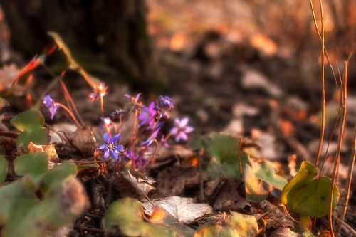за несколько минут до заката..