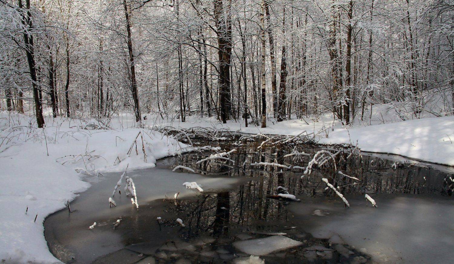 , ИГОРЬ МЕЛЬНИКОВ