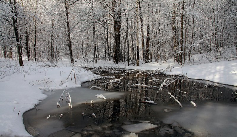 ...весна.. фото превью