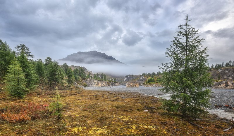 Утро фото превью