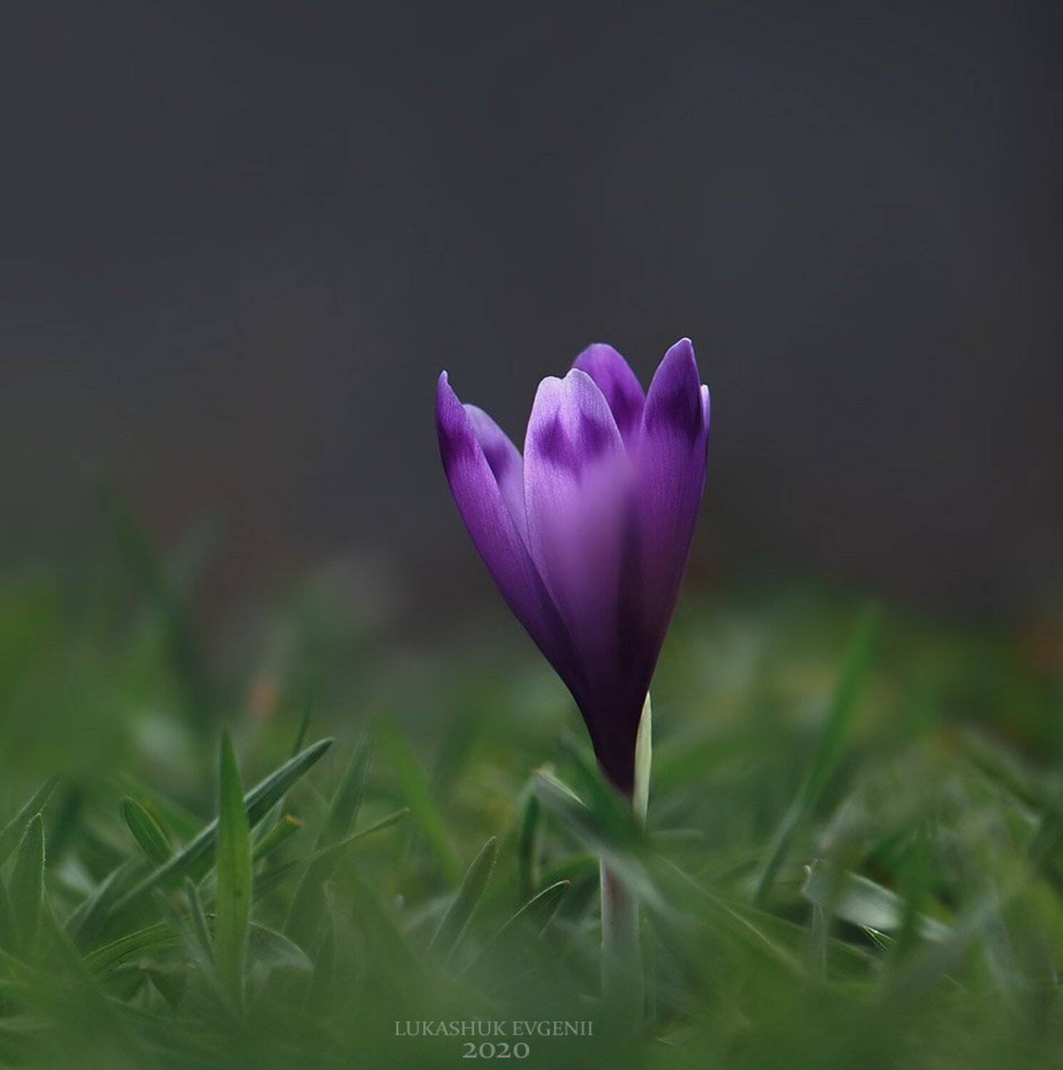 , Евгений Лукашук