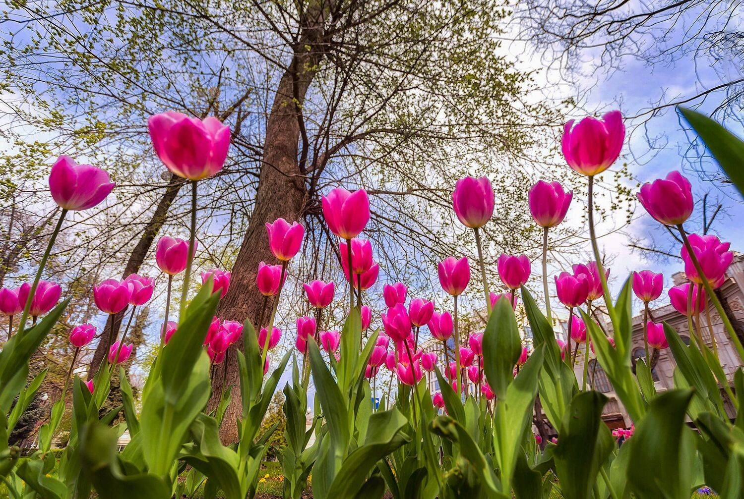 , Павел Сагайдак