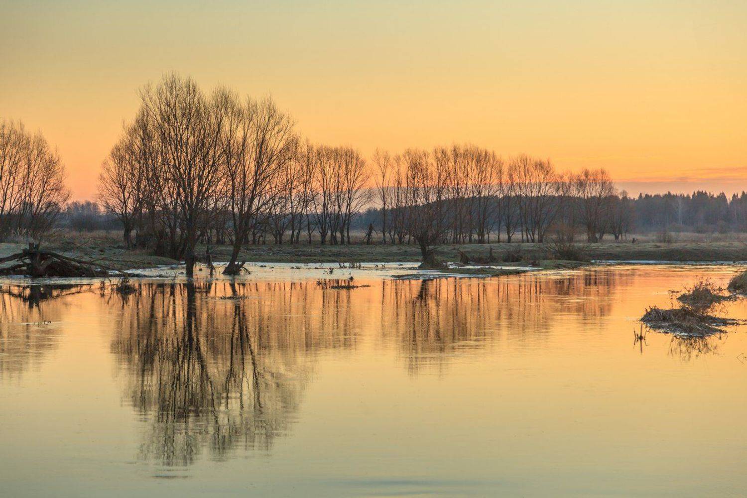 Филипповское, Элина Хван