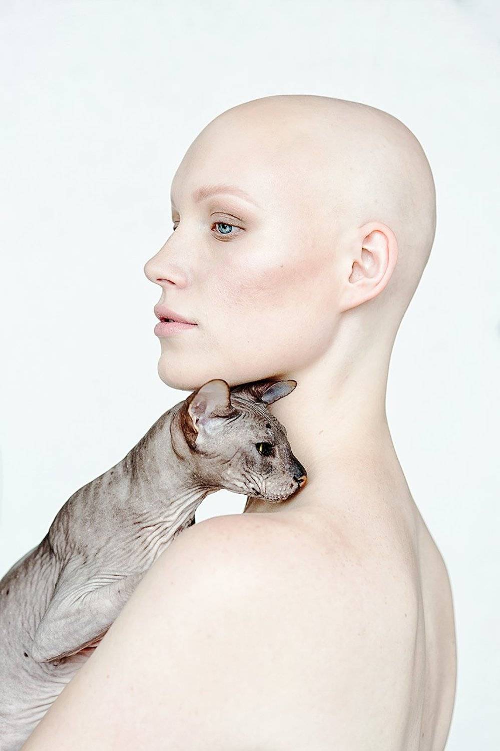девушка, сфинкс, кошка, концепт, без волос, лысый, мода, модель, Дарья Комарова