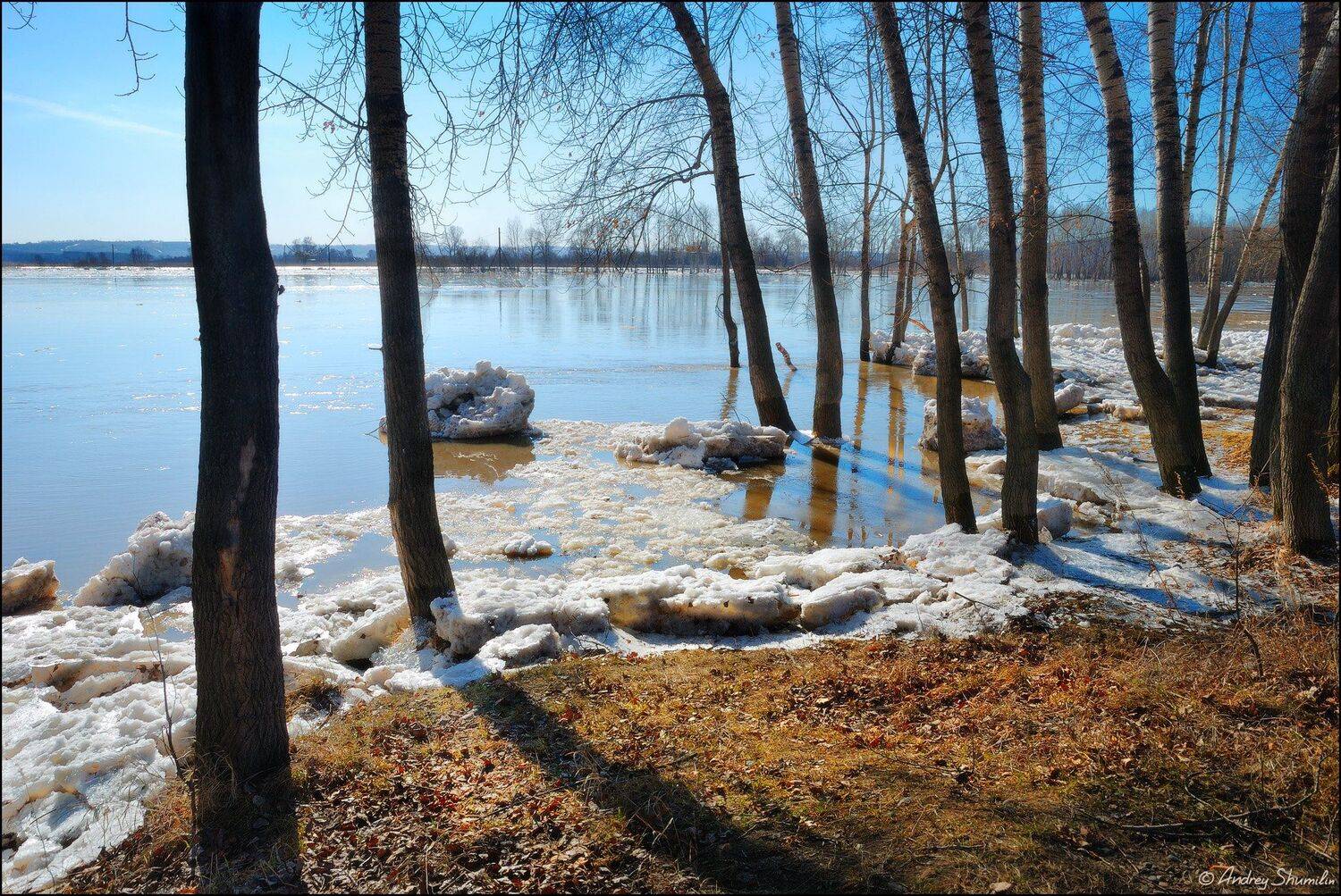 , Андрей Шумилин
