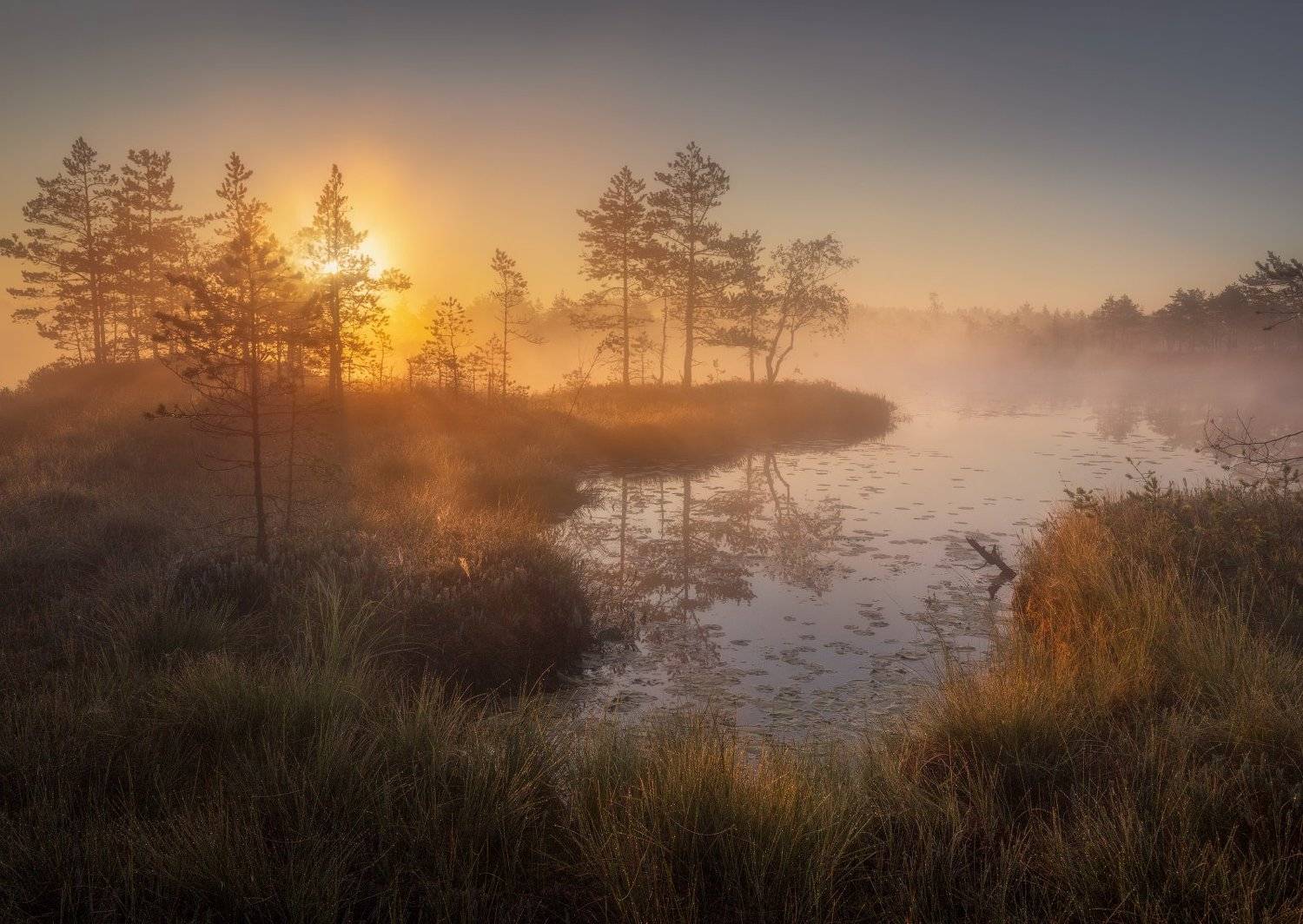 болото, озеро затейливое, Ольга Рудченко