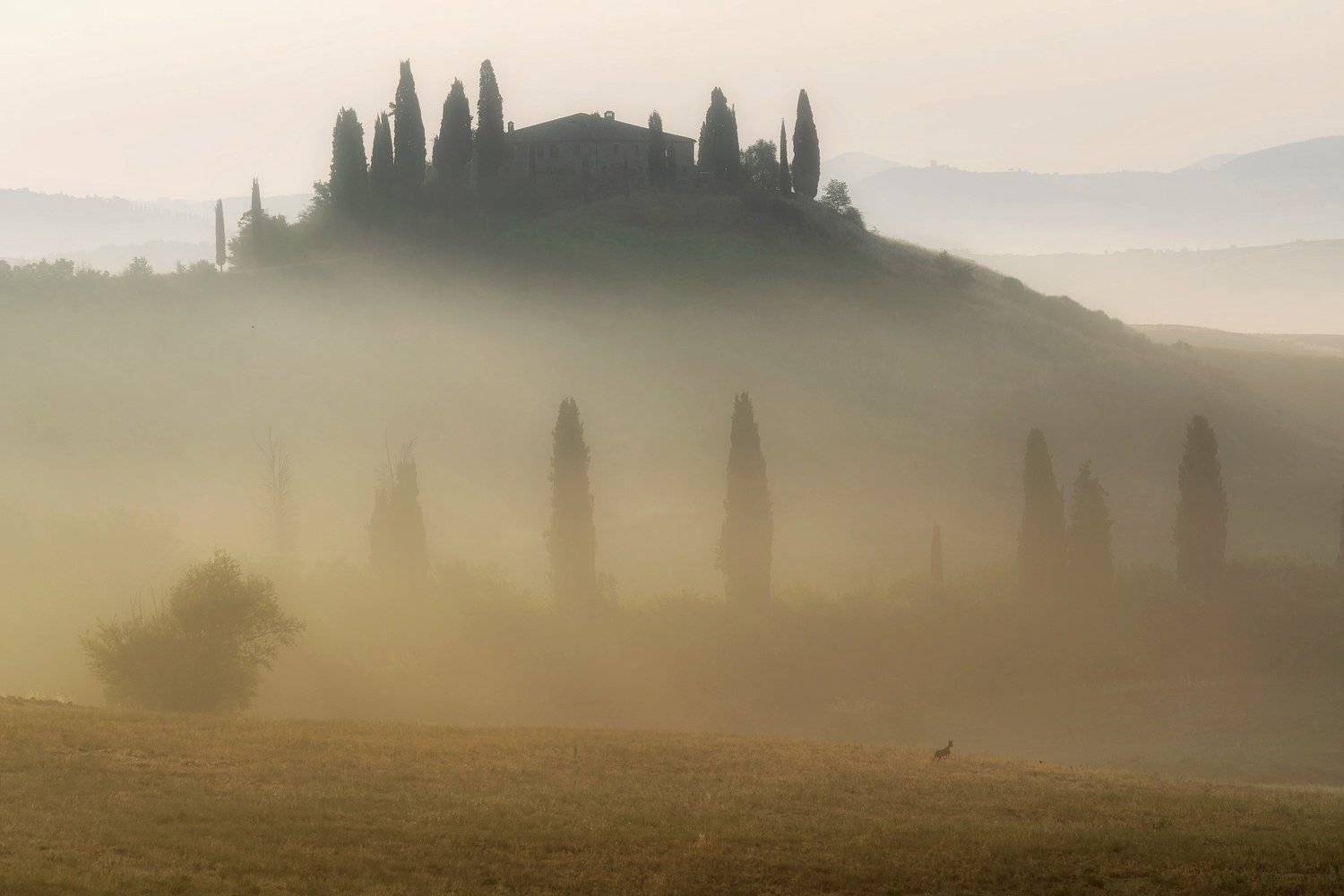 tuscany, тоскана, Исаков Дмитрий