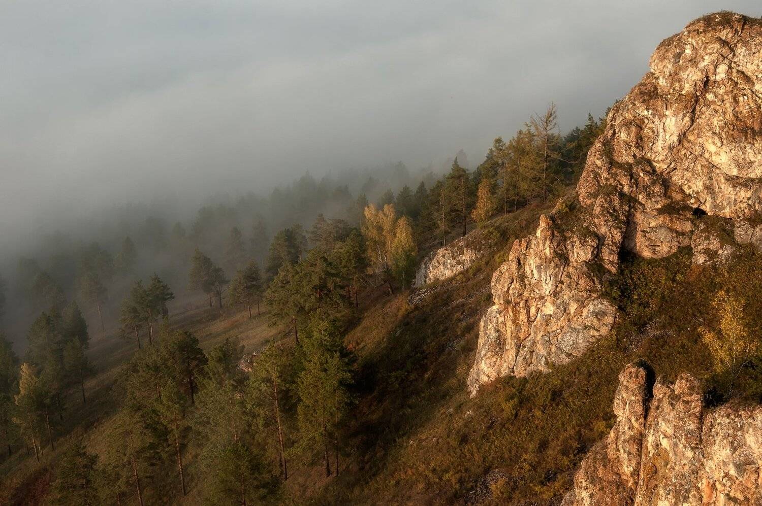 торгашинский хребет.. туман., Марина Фомина