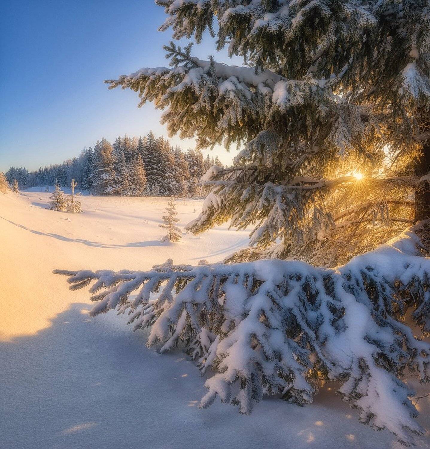 , Устюжанин Михаил