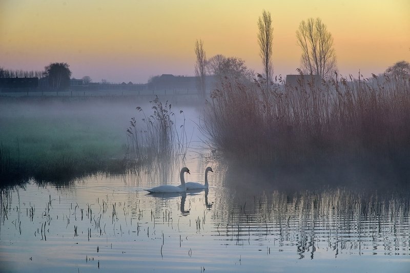 A romantic morning. фото превью