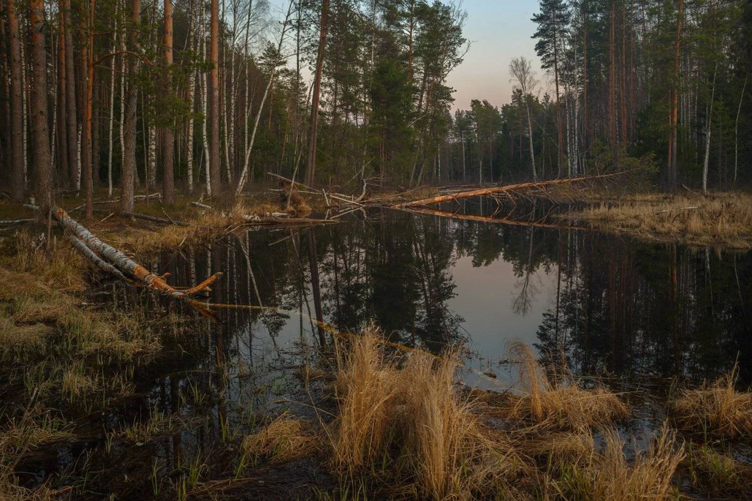 вечер речка апрель суходол, Дмитрий Алексеев