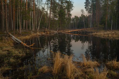 Апрель. р. Суходол