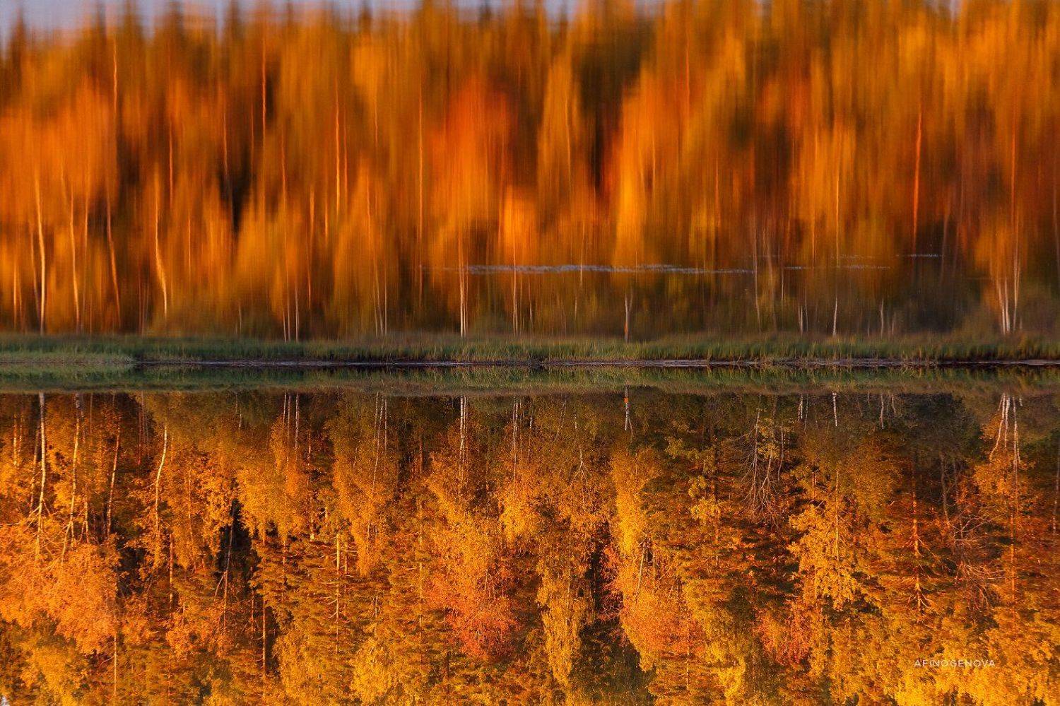 осень отражение деревья вода, Татьяна Афиногенова