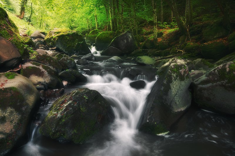 Even flow фото превью