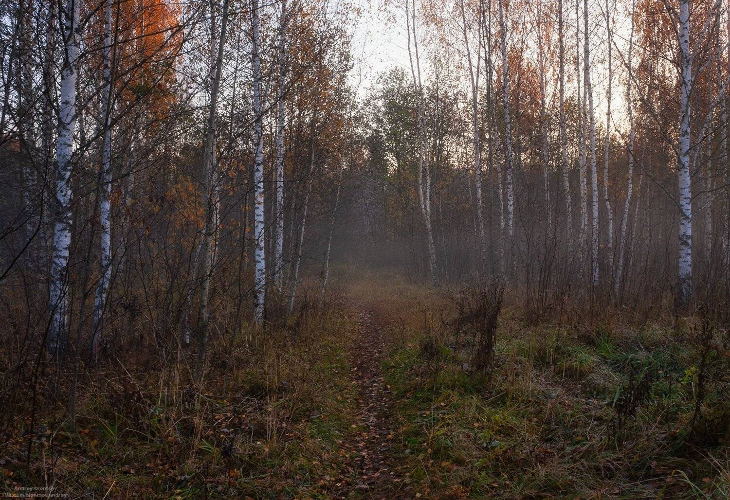 солнце, россия, рассвет, природа, подмосковье, погода, пейзажи, пейзаж, отражение, наукоград, красота, дубна, вода, весна, weather, water, spring, russia, reflection, naukograd, nature, moscow, landscape, dawn, canon, dubna, beauty, Андрей Олонцев