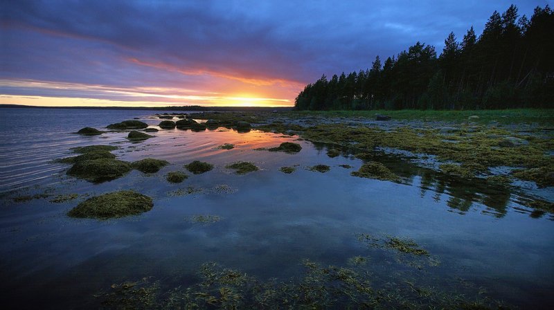 кольский, закат, вода, белые ночи Белое море на закате фото превью