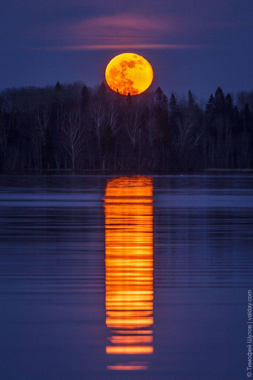 валдай, Тимофей Шутов