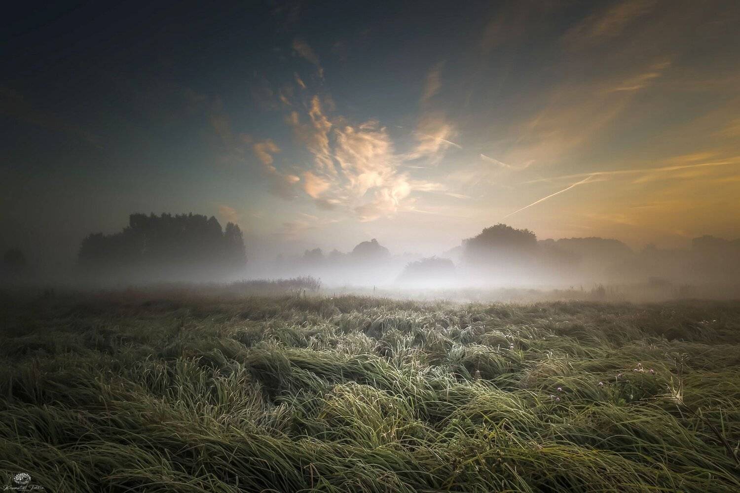 Daybreak, Clouds, Sky, Nature, Light, Fog, Landscape, Nikon, Mist, Atmosphere, trees, , Krzysztof Tollas