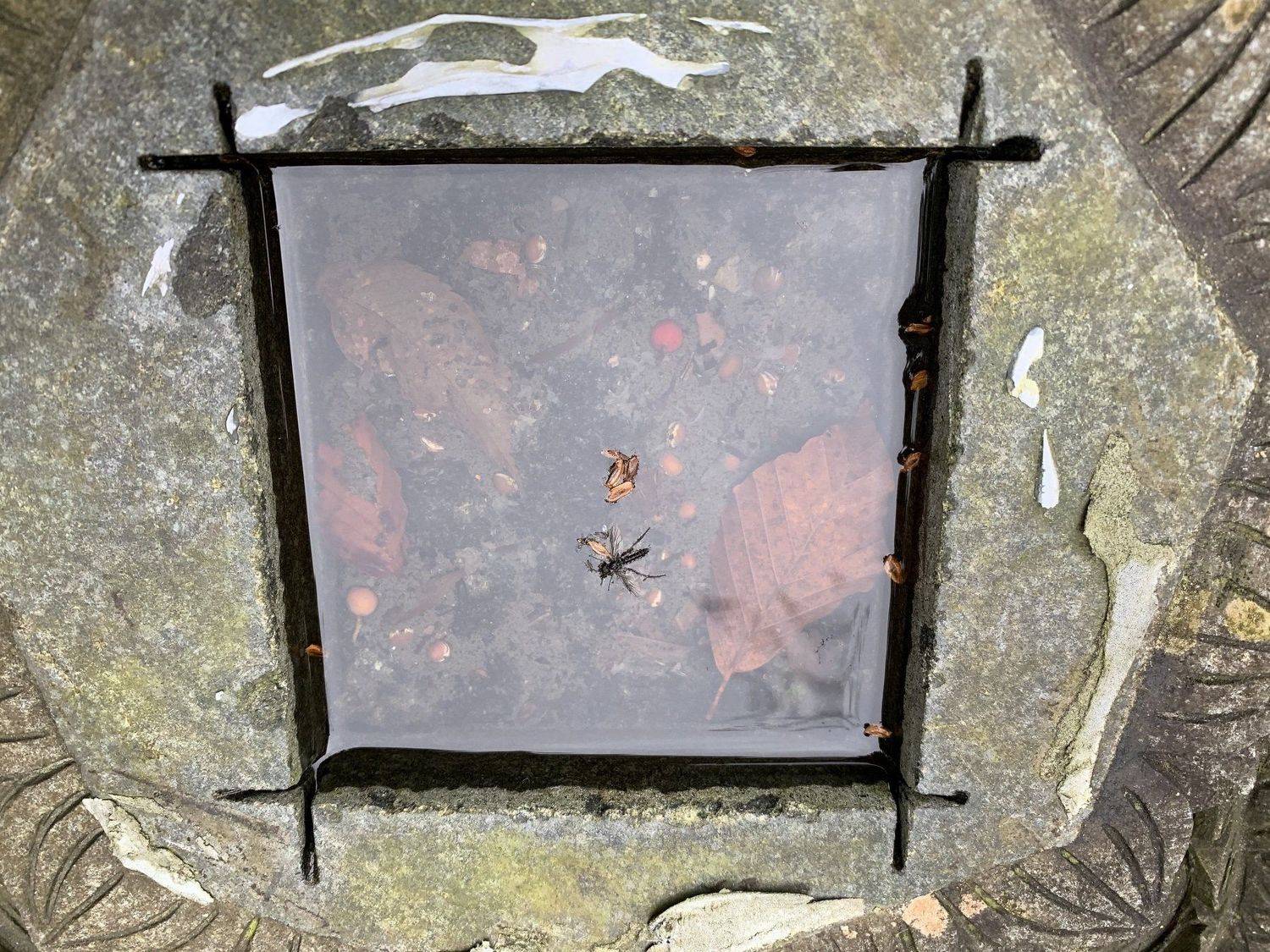 токио, япония, Ирина