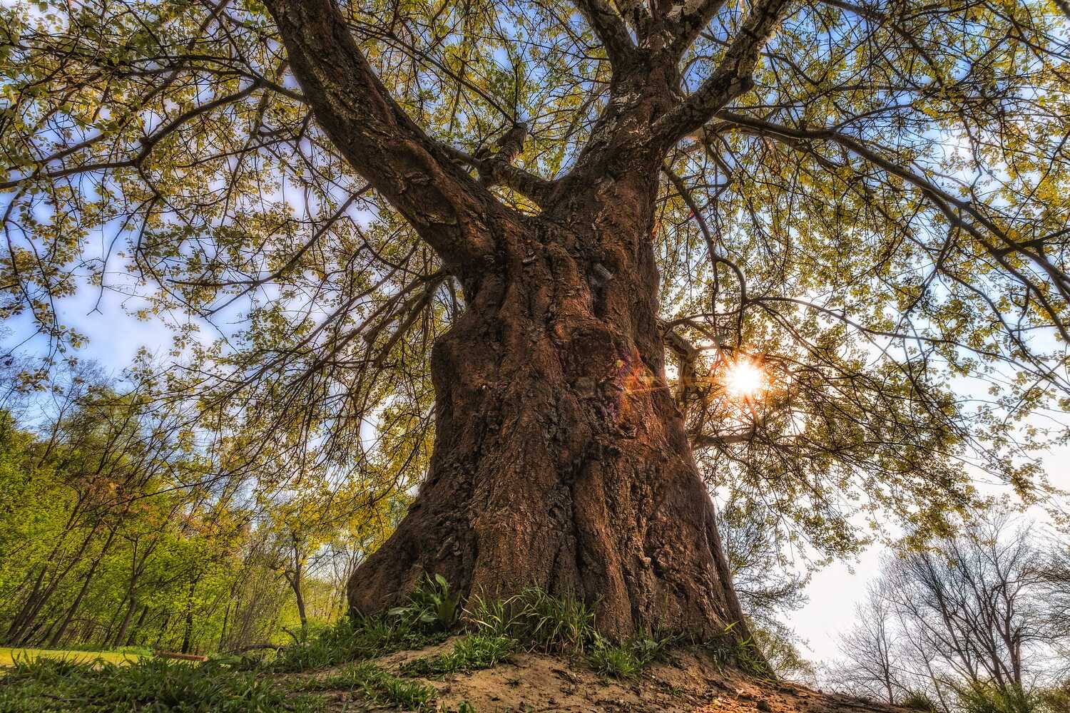 , Павел Сагайдак