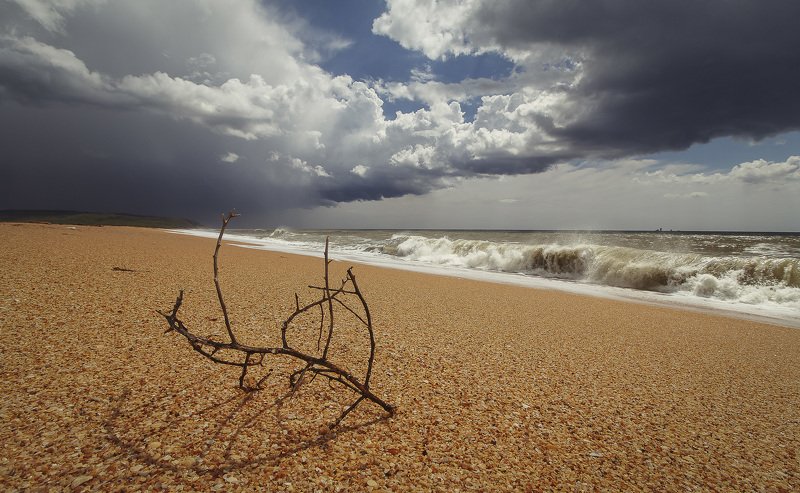 крым, crimea, опук, черное море, заповедник Между штормов фото превью