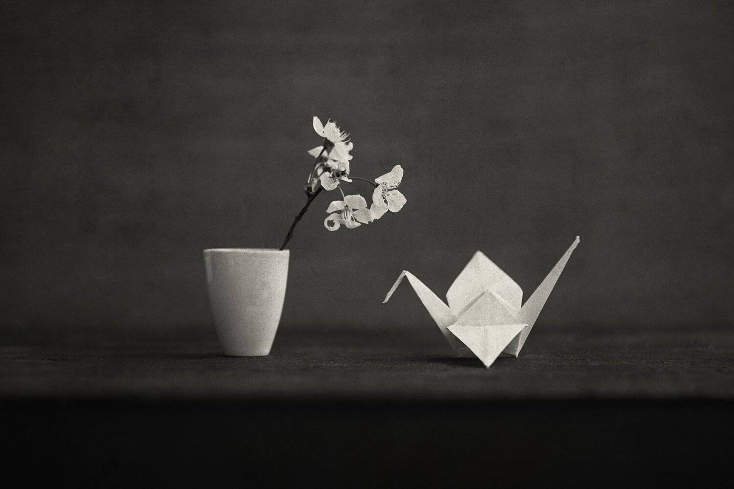 натюрморт, минимализм, Ольга Алексейчик