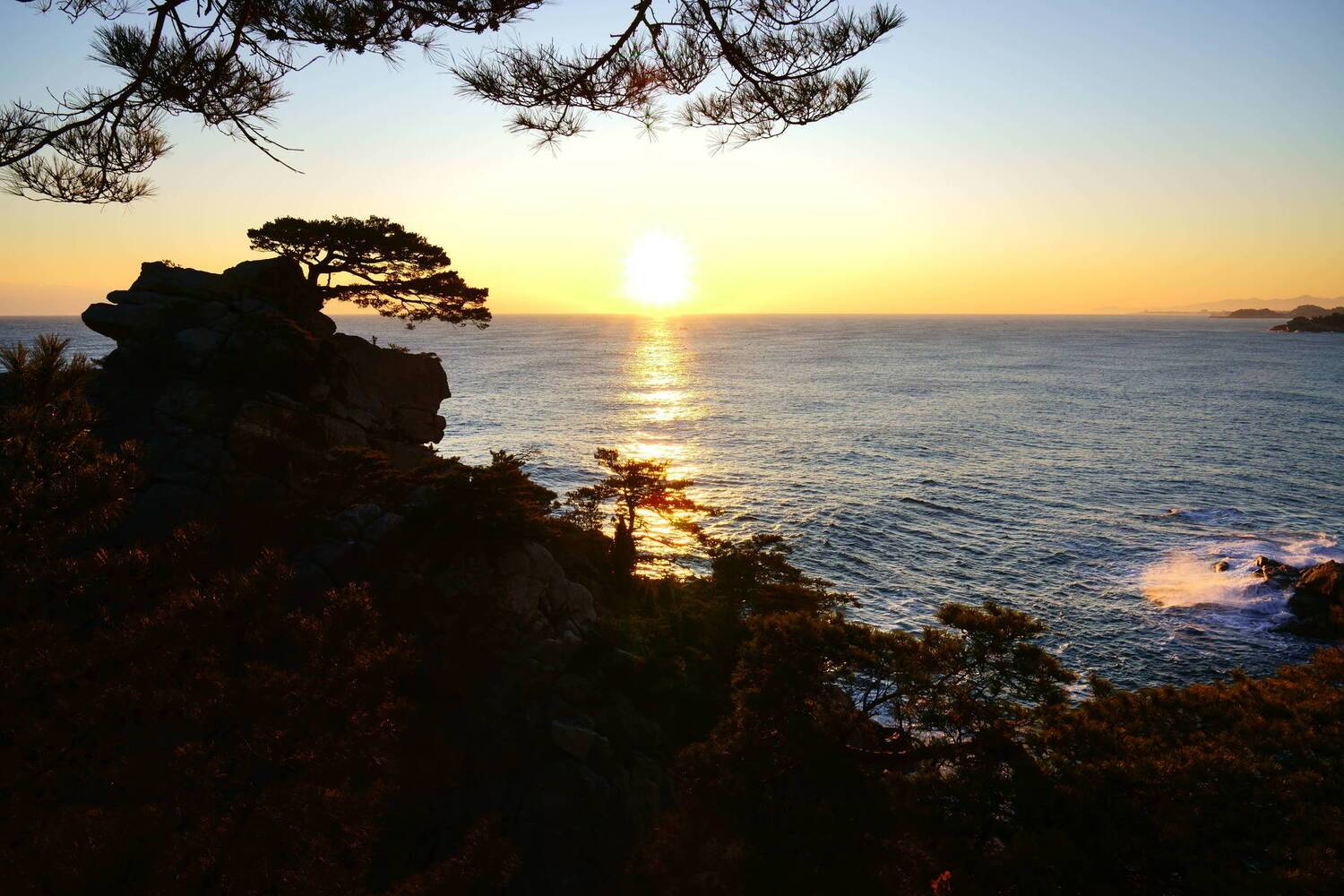 south korea,kangwondo,winter,sea,seascape,sun,horizontal,wave,rocks,pine, backlight, Shin