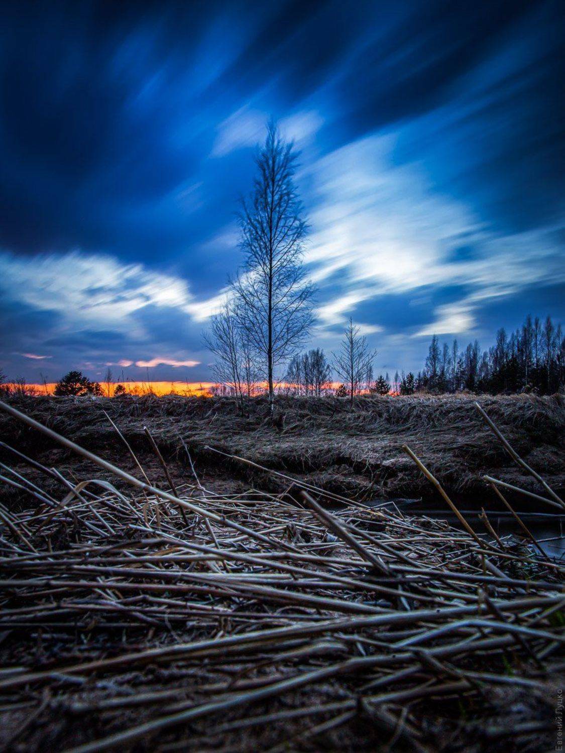 , Евгений Луцко