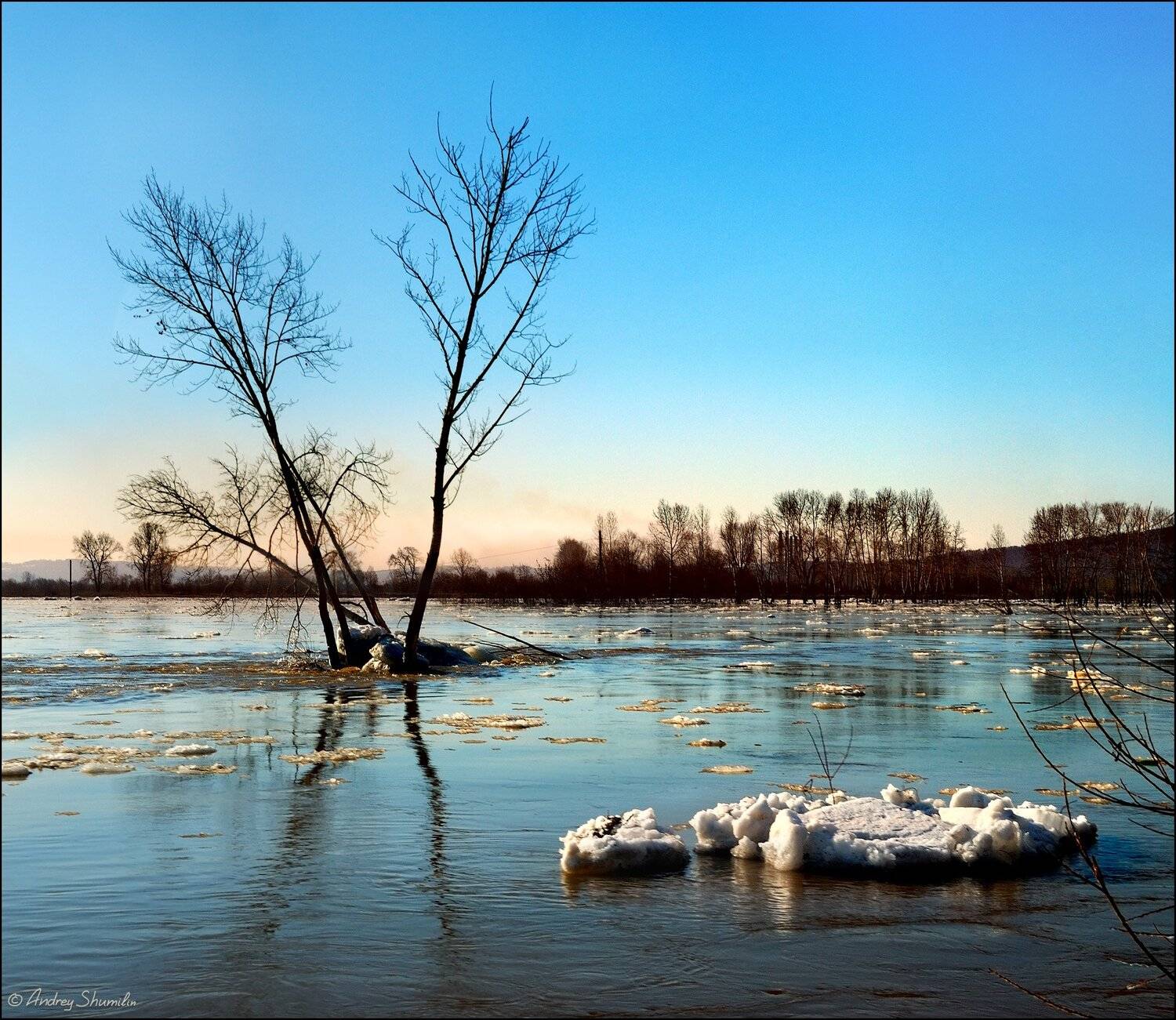 , Андрей Шумилин
