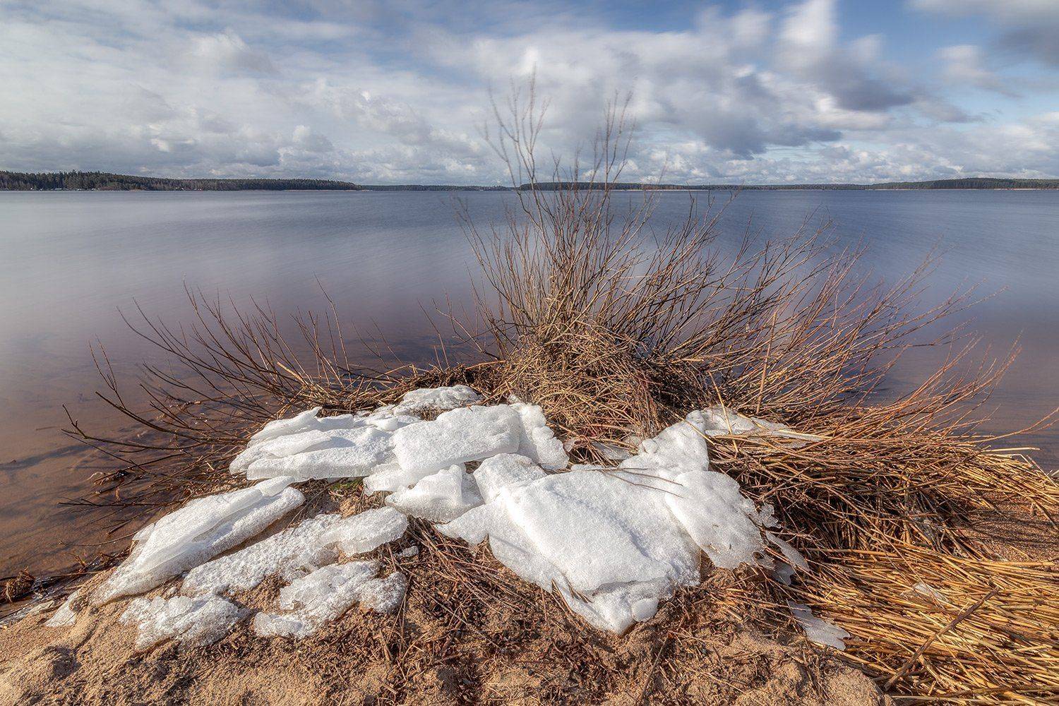 , Федотов Антон