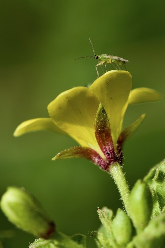 Waiting фото превью