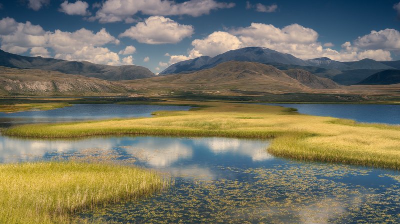 пейзаж, панорама, горы, озеро, алтай, сибирь, природа, путешествия, буйлюкем, ряска, трава, небо, облака, отражения, панорама, путешествия, большой, красивая Озёра Буйлюкема фото превью