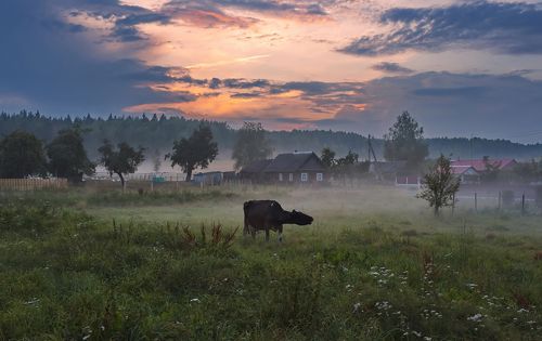На краю земли...