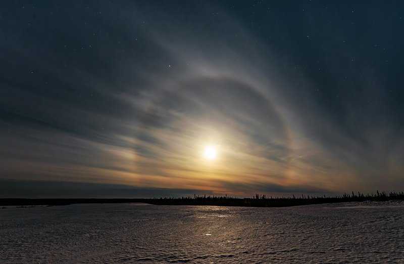 коми., север., зима.ночь.фотоохота.увлечение.хобби.галло.komi., north., winter.night.photo, hunting.hobby.hobby.gallo Сурерлуние,гало фото превью