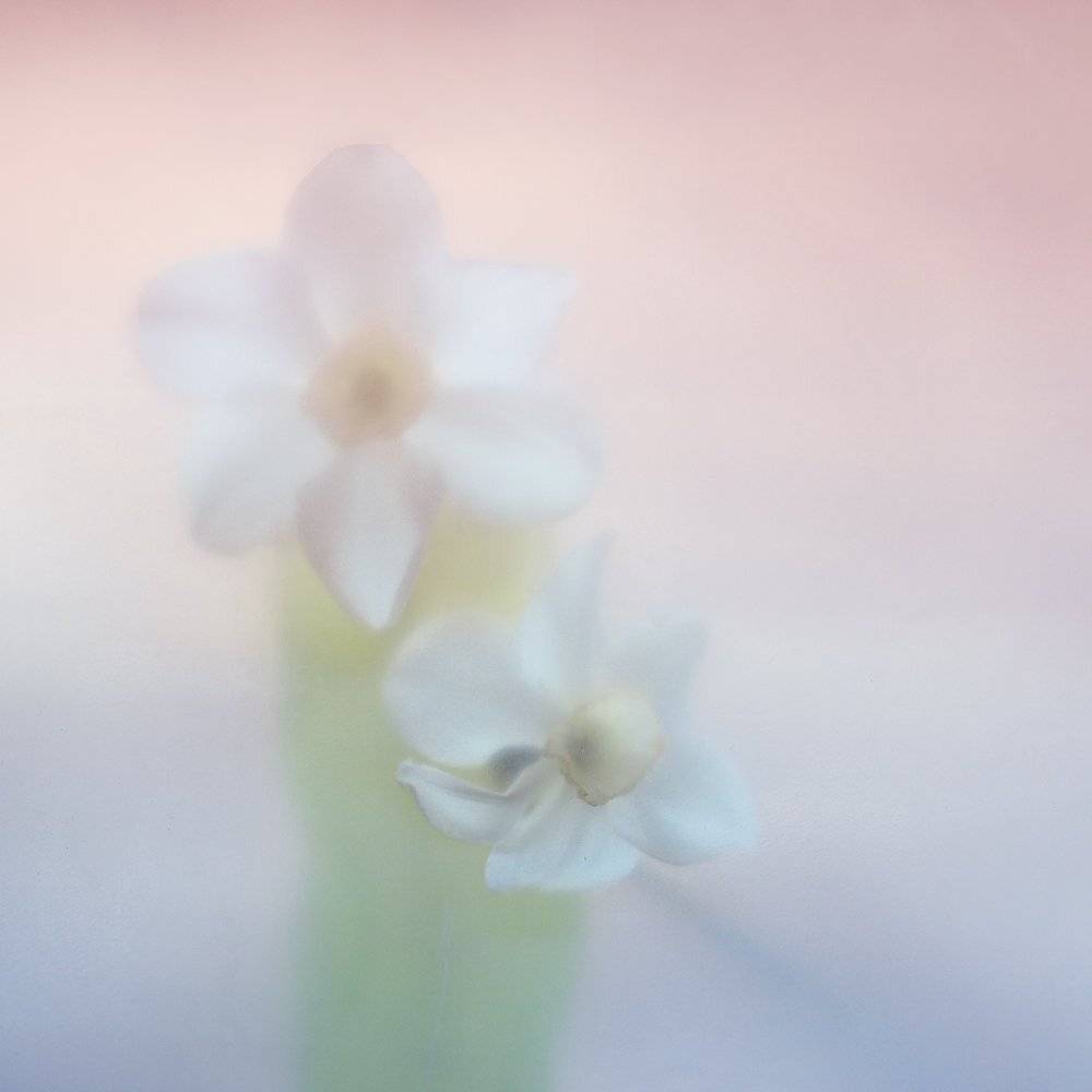 , Татьяна Аверина