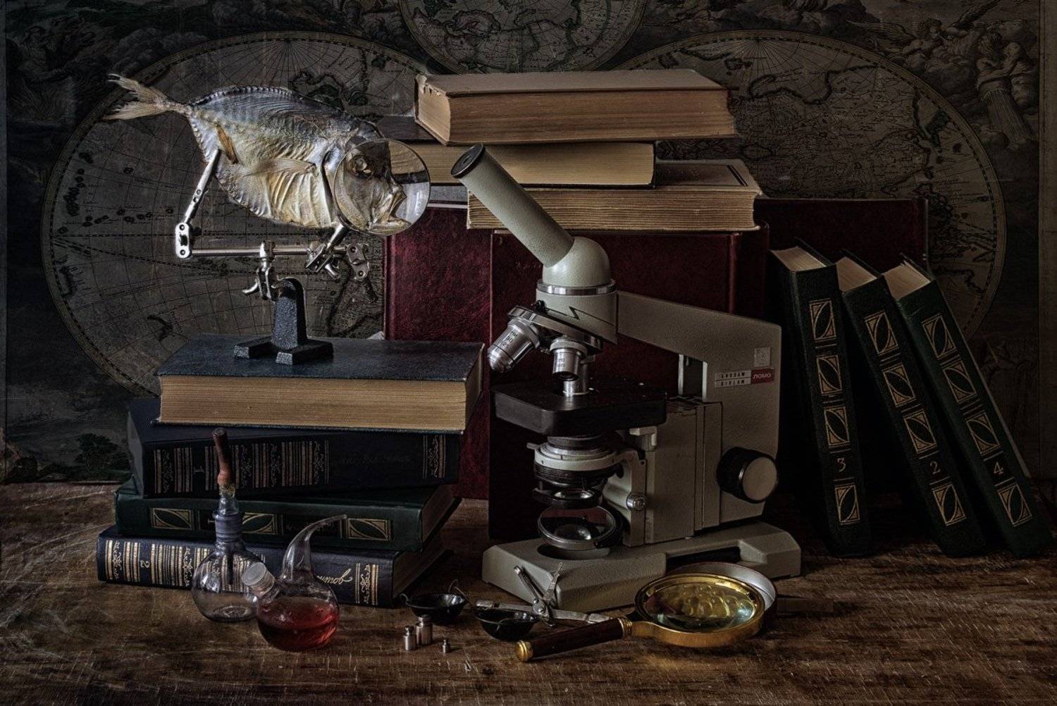 , Михаил Анисимов