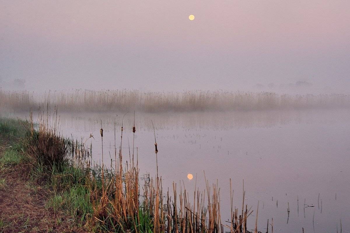 , Johny Hemelsoen