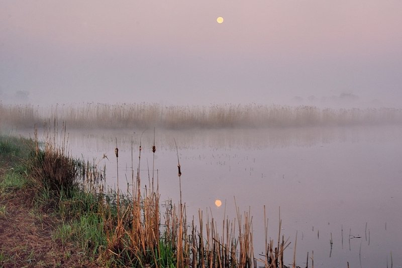The romantic moonlight. фото превью