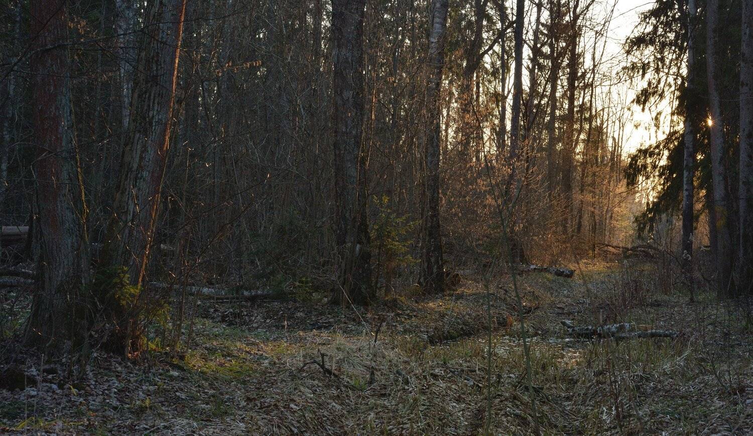 , Сергей Седов