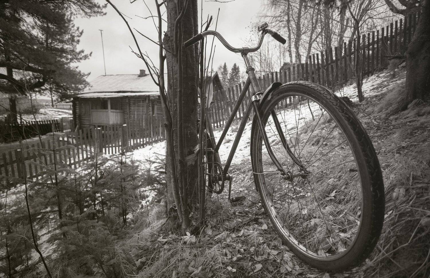 , Федотов Сергей